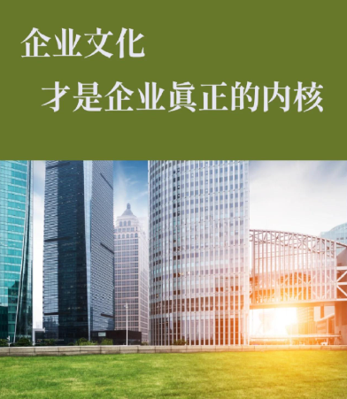深圳工商注册与财税记账报税服务选购指南：如何为初创企业匹配代办方案